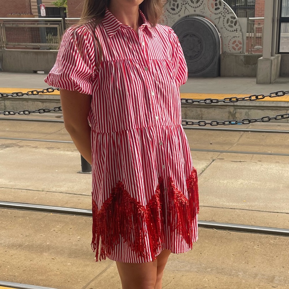 Adorable dress perfect for the Eras Tour